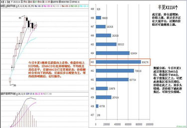 半夏的市場流通與貿(mào)易經(jīng)紀(jì)角色解析