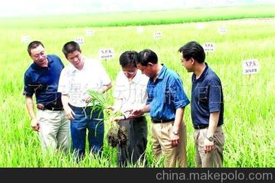 遼寧本溪農資小麥種子廣告片拍攝制作圖片,遼寧本溪農資小麥種子廣告片拍攝制作圖片大全,遼寧影視動畫制作工廠-